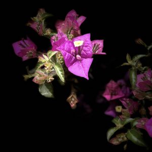 Linien stiller Schönheit – eine fotografische Annäherung