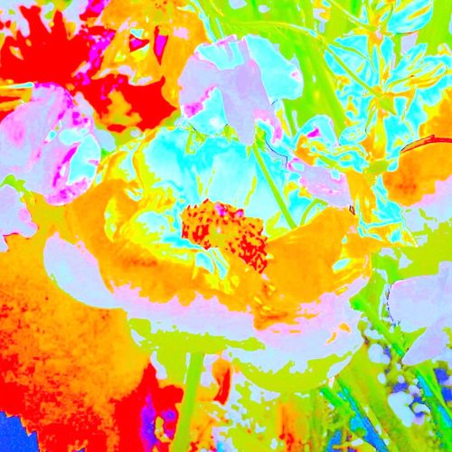Palastblüten Photoart 3 bunt
